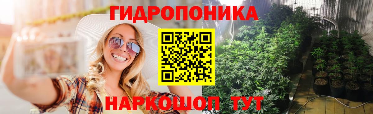 Бошки марихуана White Widow  МАРИХУАНА AK-47  Канабис Bruce Banner  Кировск  Канабис Bruce Banner  Вход с VPN 